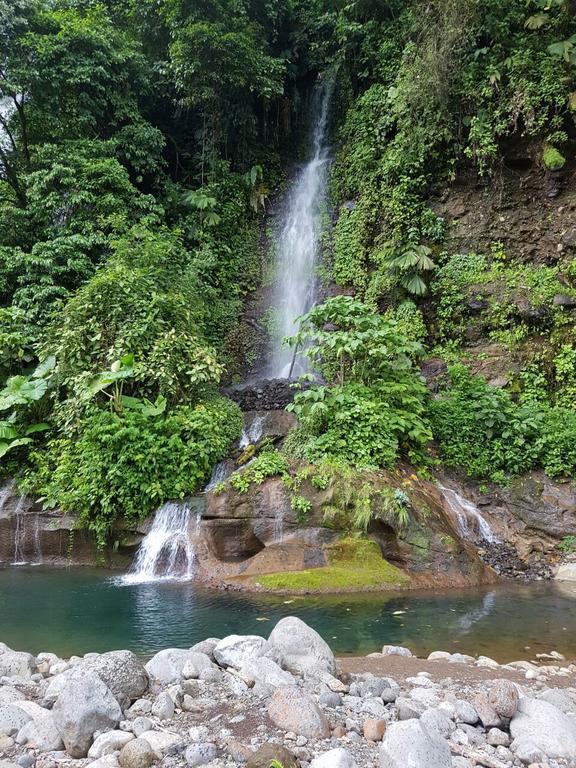 Hostel Orozco - Costa Rica Río Cuarto Eksteriør billede