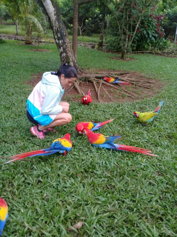 Hostel Orozco - Costa Rica Río Cuarto Eksteriør billede