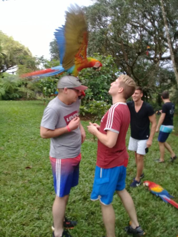 Hostel Orozco - Costa Rica Río Cuarto Eksteriør billede