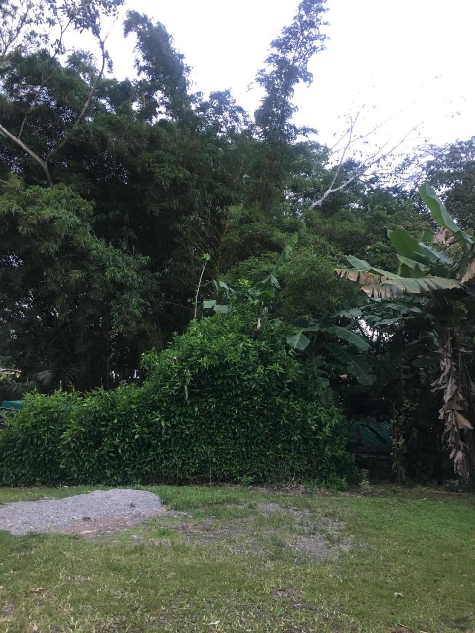 Hostel Orozco - Costa Rica Río Cuarto Eksteriør billede