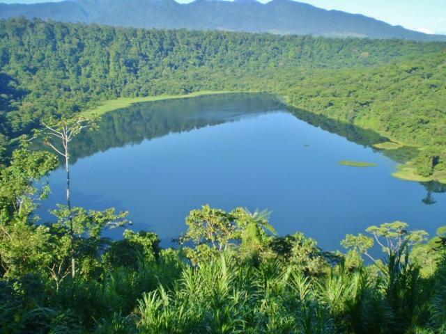 Hostel Orozco - Costa Rica Río Cuarto Eksteriør billede