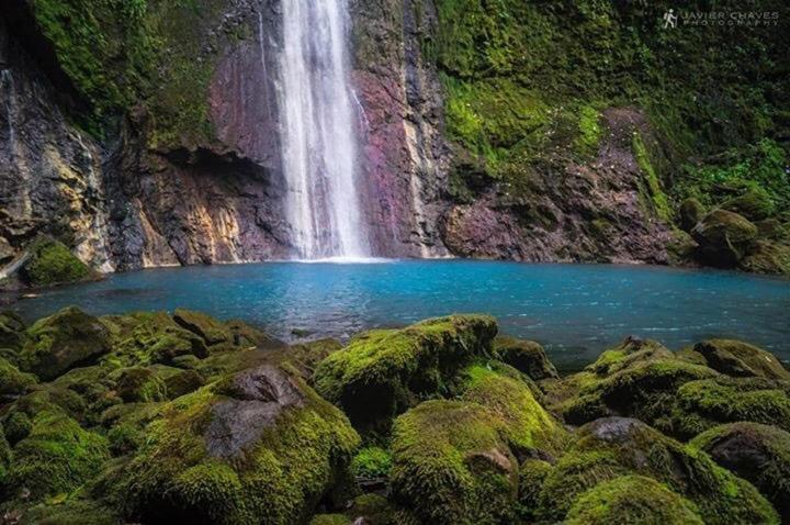 Hostel Orozco - Costa Rica Río Cuarto Eksteriør billede