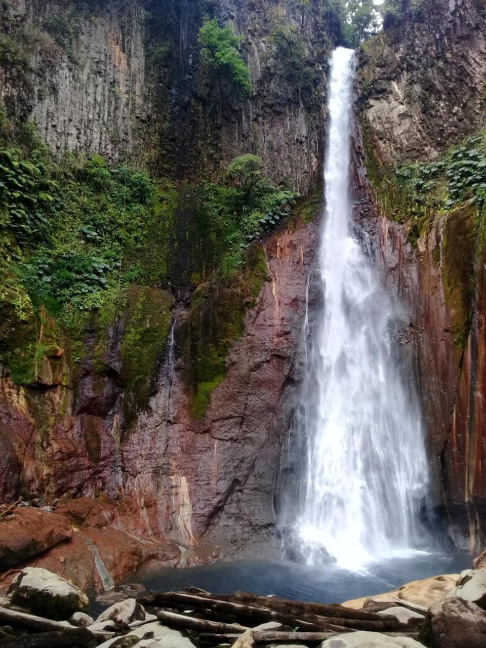 Hostel Orozco - Costa Rica Río Cuarto Eksteriør billede