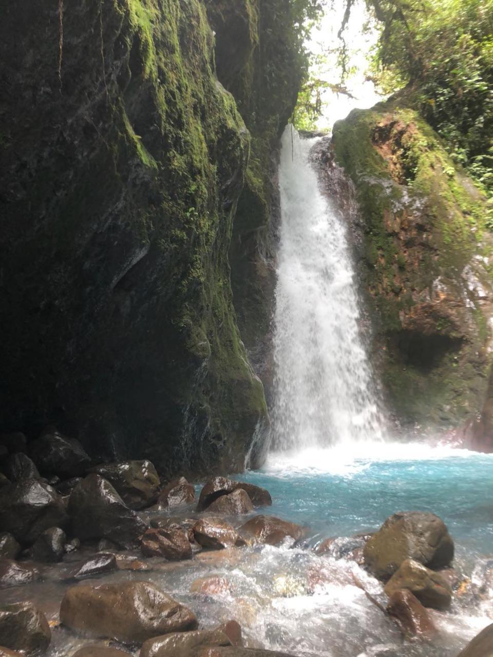 Hostel Orozco - Costa Rica Río Cuarto Eksteriør billede