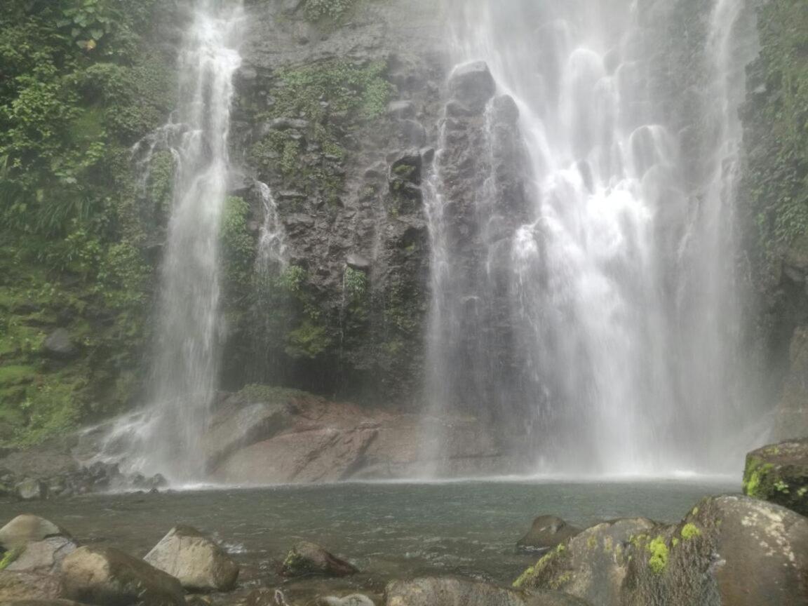 Hostel Orozco - Costa Rica Río Cuarto Eksteriør billede