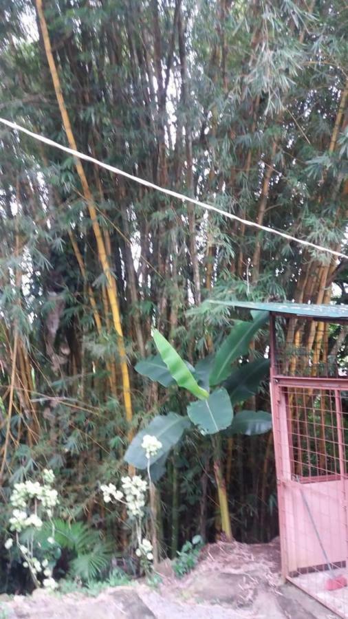Hostel Orozco - Costa Rica Río Cuarto Eksteriør billede